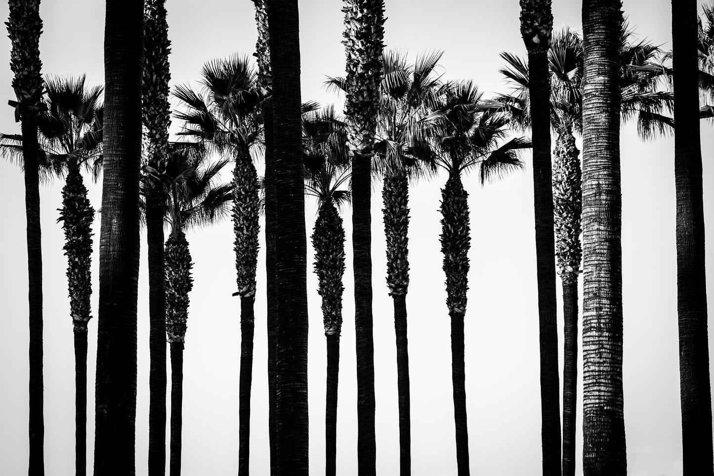 Layers, Downtown, Los Angeles - 2017