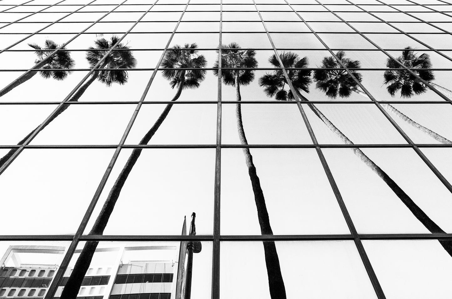 Reflections, Hollywood, Los Angeles - 2016