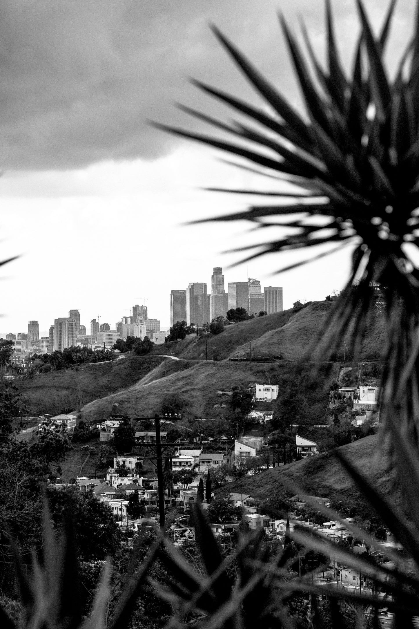 Downtown Los Angeles from El Serino - 2018