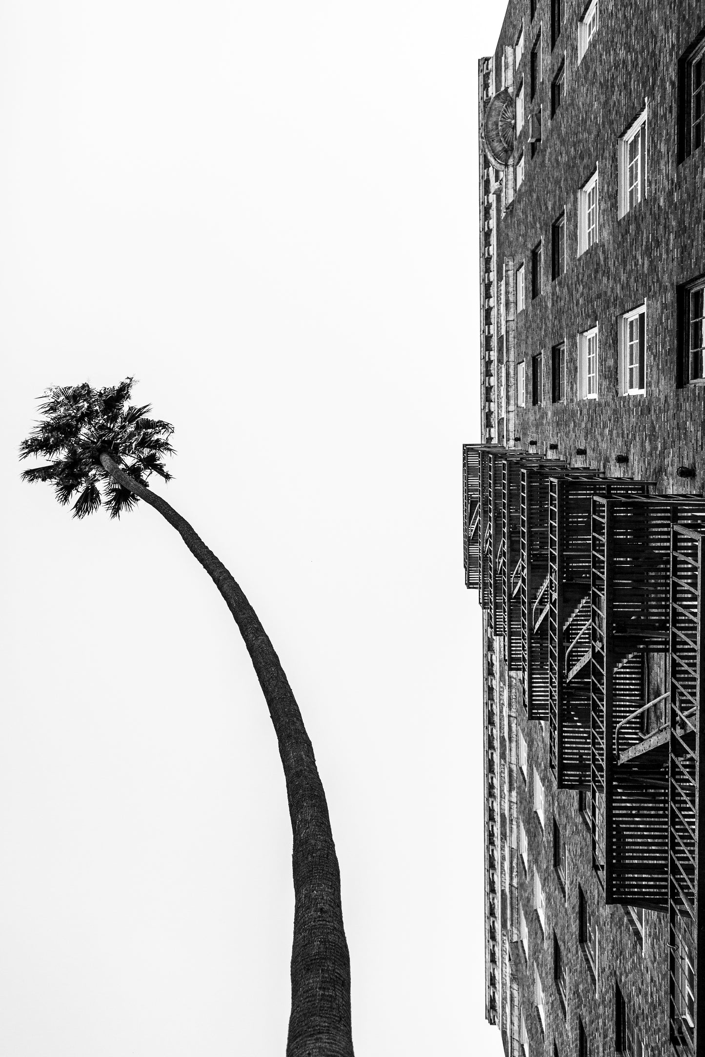 Set of 2: The Giving Tree (L) 2013 and (R) 2016, Koreatown, Los Angeles